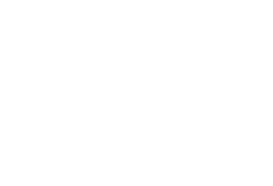Insane Driver